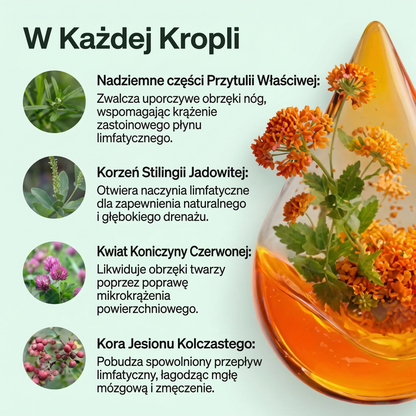 Luzyna – Drenaż Limfatyczny